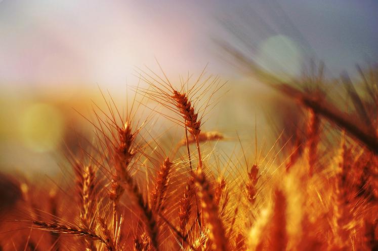 Les aléas climatiques extrêmes semblent n’avoir jamais autant fait l’actualité que ces dernières semaines, et c’est sans compter les tempêtes et inondations en France en fin d’année, ainsi que la sécheresse grave qui affecte certaines régions.