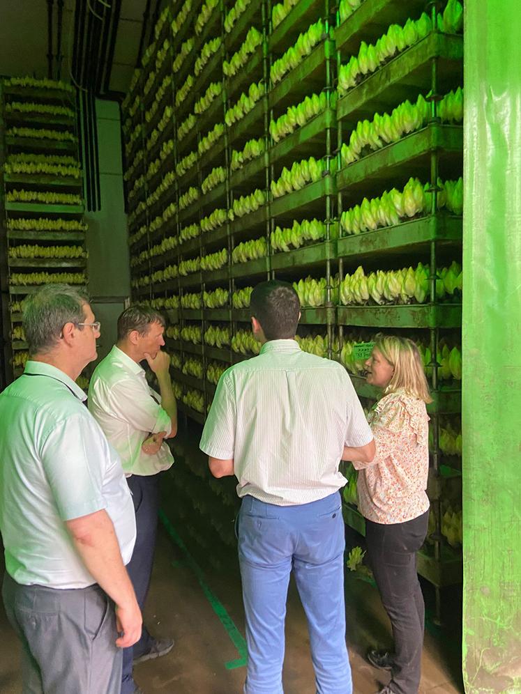 À Aizecourt-le-Haut, Xavier Rousset a été accueilli par Claire Messean sur son site de production d’endives.