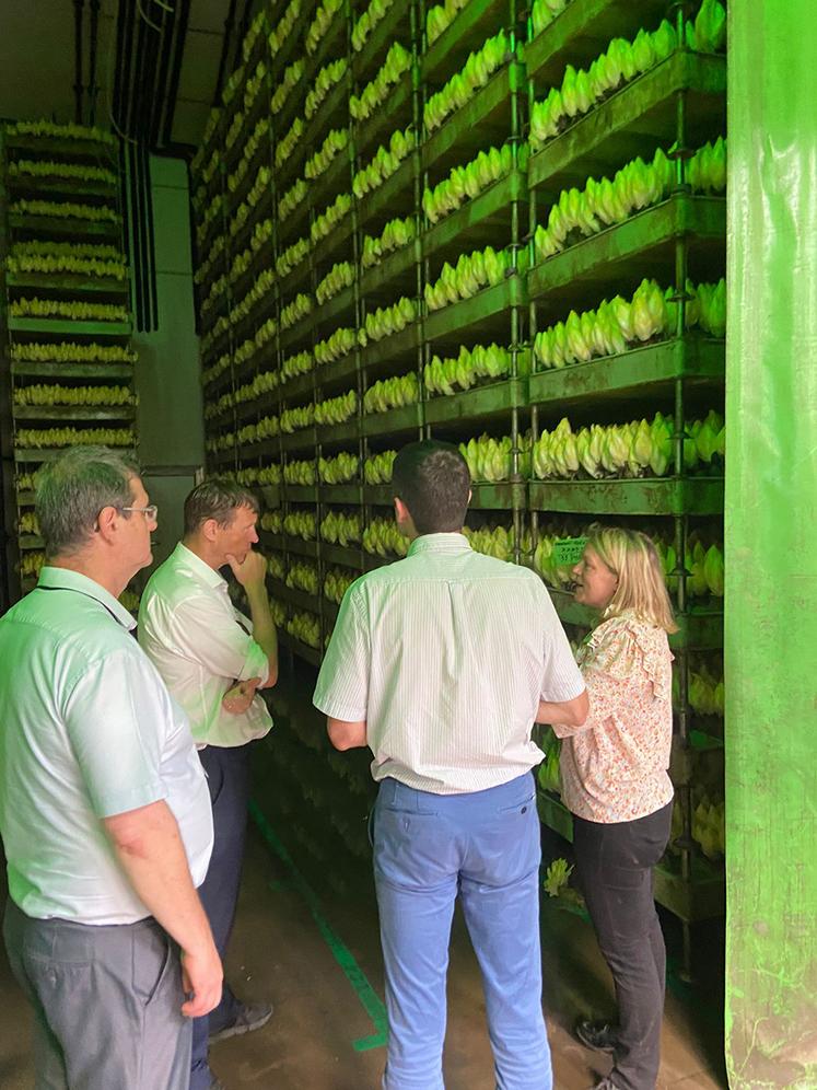 À Aizecourt-le-Haut, Xavier Rousset a été accueilli par Claire Messean  sur son site de production d’endives.