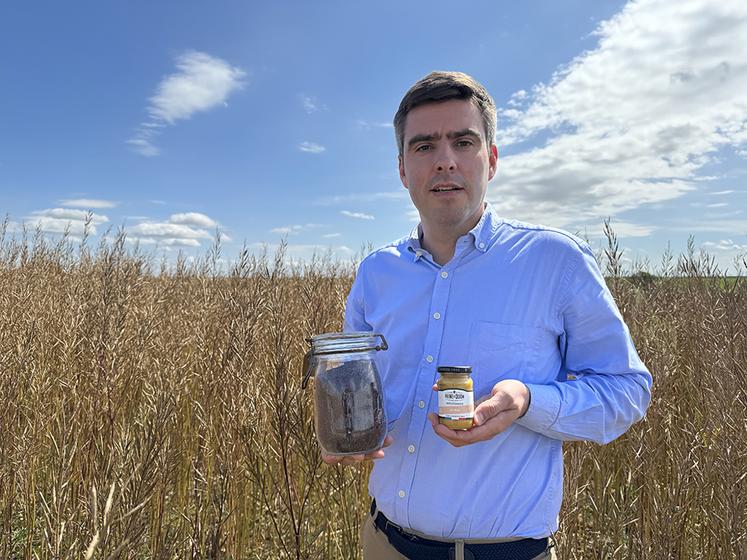 Pierre-Olivier Lenoir : côté débouchés, les lentilles et la moutarde condiment profitent d’un marché en pleine croissance.