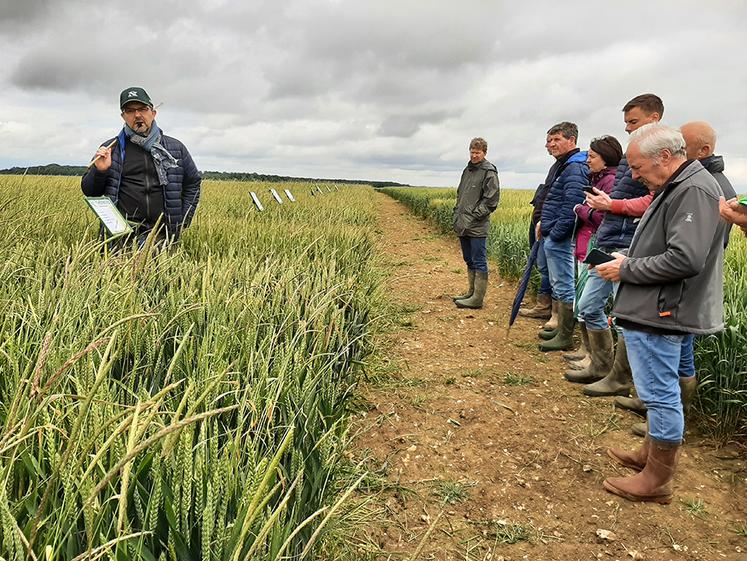 Pas moins de 26 variétés, seules ou en mélanges, ont été présentées par le service agronomique de Noriap lors des journées «Opti», comme à Sourdon, mi-juin. 