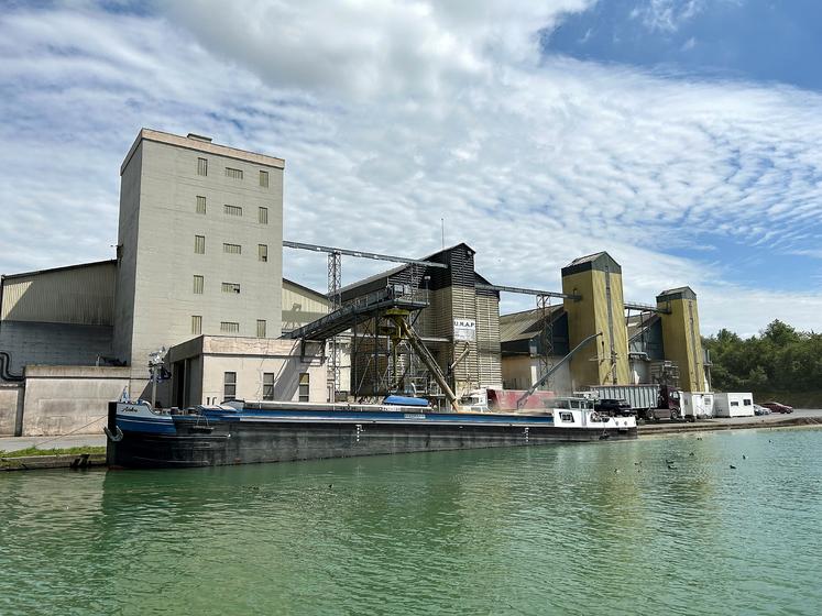 Le désinsectiseur est installé dans le silo géré par l’Urap, à Moislains, le long du canal du Nord. 