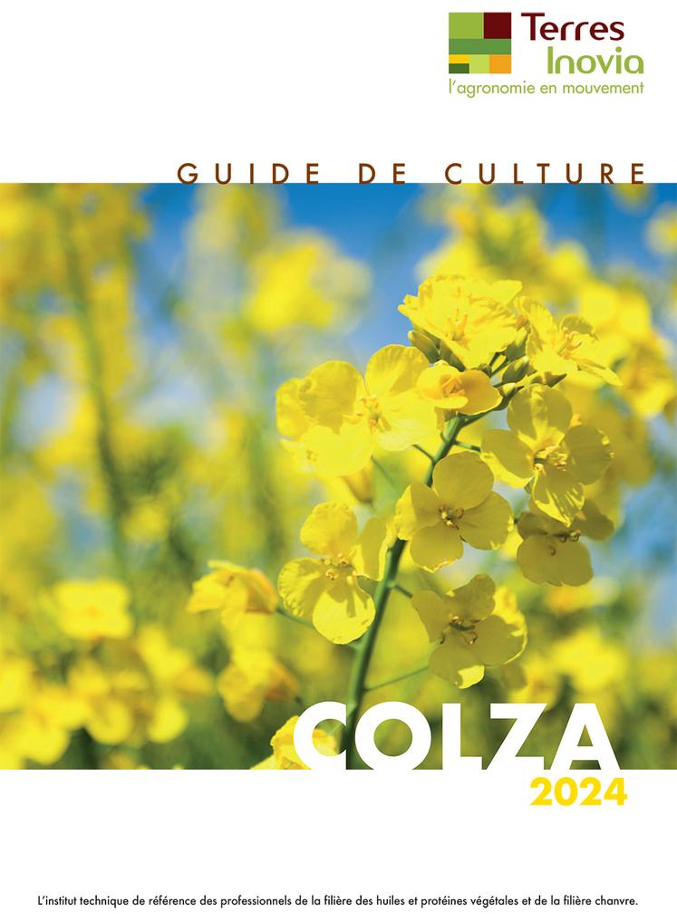 guide colza