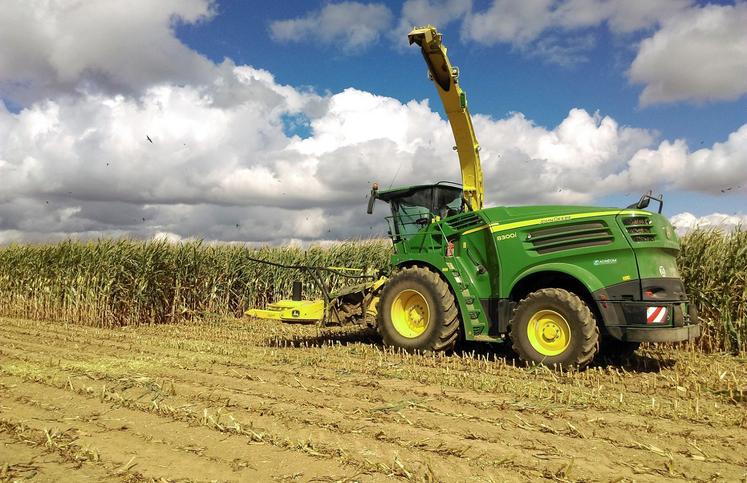 Les premiers chantiers de récolte devraient intervenir avant le 31 août  dans certaines zones. 