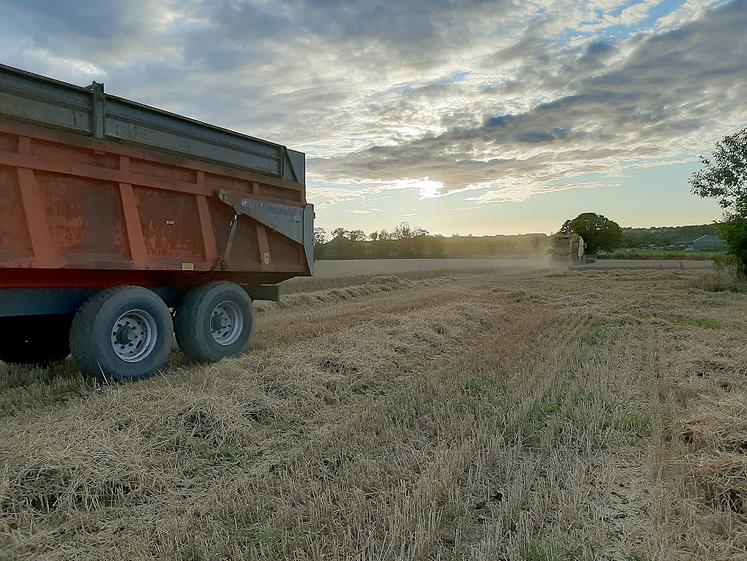 Malgré la déception générale, le département de la Somme s’en sortirait mieux que d’autres zones de production, comparé à l’échelle nationale.