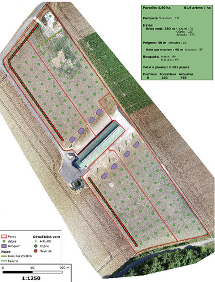 Exemple d’accompagnement par la Chambre d’agriculture, aménagement d’un parcours de volailles en agroforesterie. «Les  poules ont besoin d’être guidées par de la végétation pour oser s’aventurer en dehors du bâtiment d’élevage. On plante des arbres isolés dans la parcelle pour les guider d’un point à un autre. Ces pratiques jouent sur leur état de stress et à l’arrivée sur la production», précise Thomas.