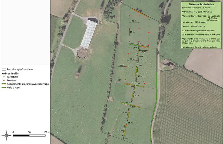 Exemple d’accompagnement par la Chambre d’agriculture, schéma de plantation en agroforesterie sur une prairie pour bovins.