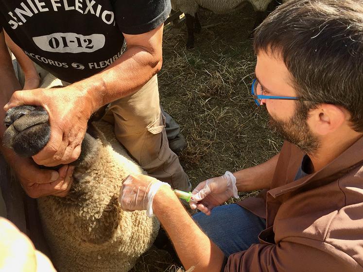 La principale arme contre ces maladies est la vaccination, mais certains sont  en rupture. 