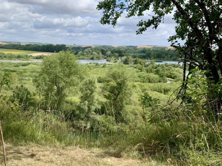 Dans la Somme, 3 586 ha seraient classés zones humides, dont 2 761 ha dans les Bas-champs et le Marquenterre, et 824 ha en vallées de la Somme et de l’Avre. 