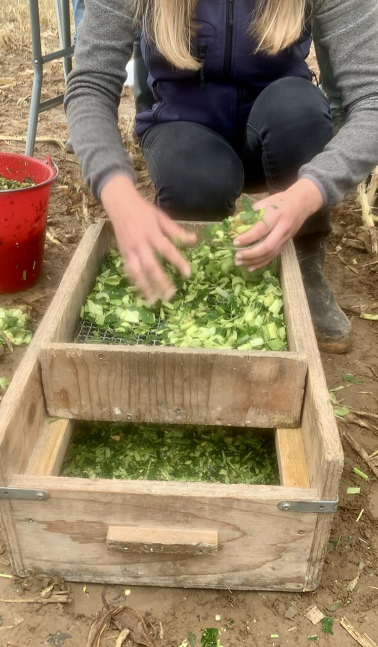 Le test du tamis, qui trie les parties de l’ensilage par taille  de particules, permet de vérifier si la taille de coupe  est bonne.  