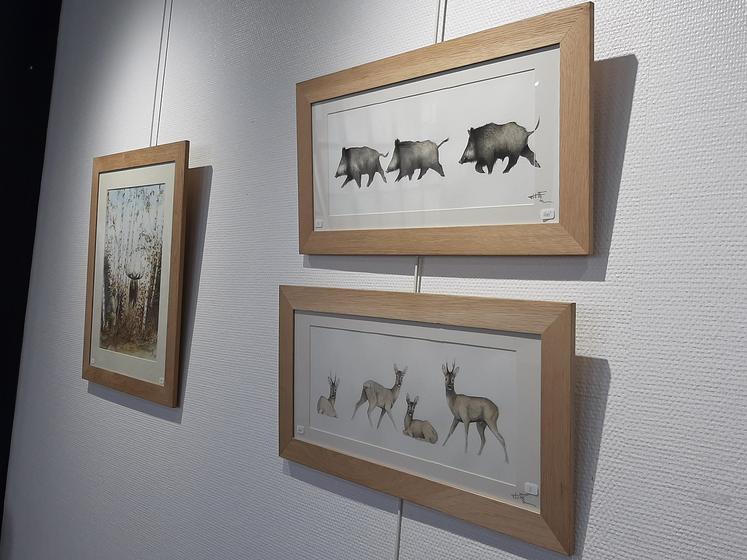 Les dessins de Thibault de Witte sont à découvrir jusqu’au dimanche 29 septembre à la galerie Henri Le Fauconnier à Hesdin. 