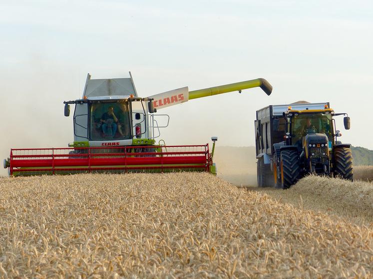 Selon les résultats d’essais conduits par la coopérative, les «meilleures» variétés n’ont offert qu’un modeste rendement  de 60 quintaux par hectare.