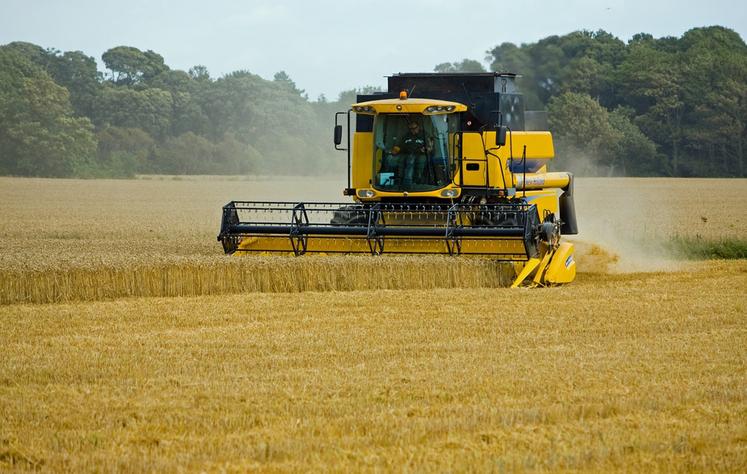 Le rendement attendu du blé tendre est finalement estimé à 61,5 quintaux par hectare (q/ha), contre 62,4 q/ha établis  dans sa note du mois d’août, ce qui abaisse la production à 25,75 millions de tonnes. 