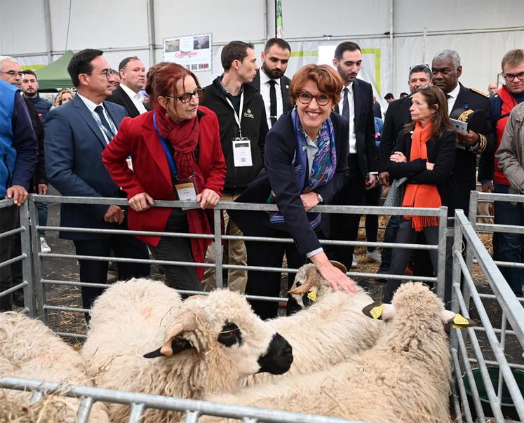 En visitant le Hall réservé aux ovins, Annie Genevard a évoqué la crise sanitaire provoquée par la FCO.