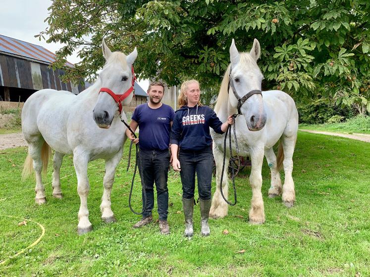 Morgan et Claire espèrent qualifier les deux juments Boulonnaises en attelage en paire, pour le prochain Salon de l’agriculture. 