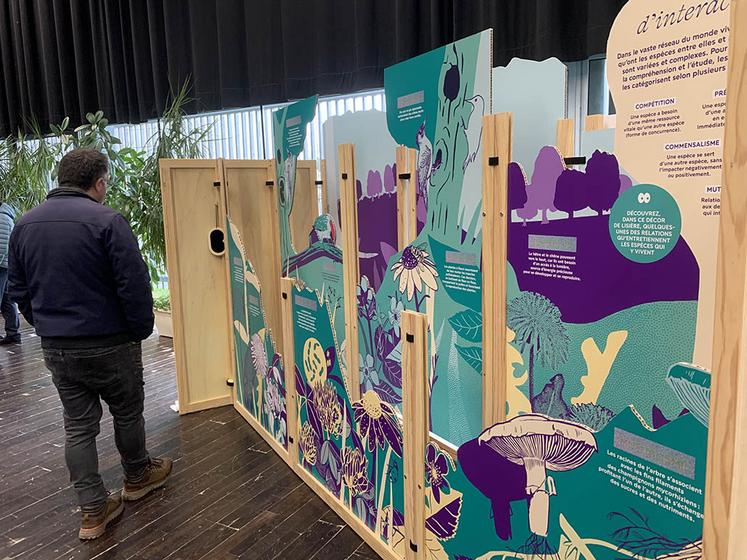 Les pop’up ont été imaginés en cinq modules qui permettent d’appréhender notre rapport au vivant. 