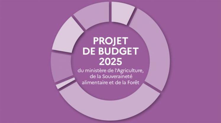 Le projet de loi de finances pour 2025 reprend en grande partie les mesures décidées au cours du premier semestre 2024, sous le gouvernement de Gabriel Atal  et faisant suite aux manifestations des agriculteurs. 