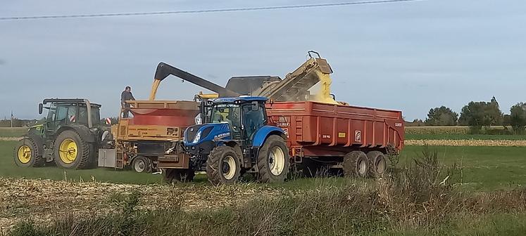 Organisation d’un chantier de récolte maïs pâte humide.