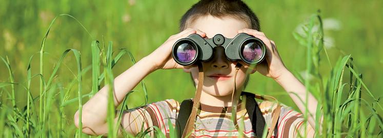 Chacun peut contribuer à la recherche. 