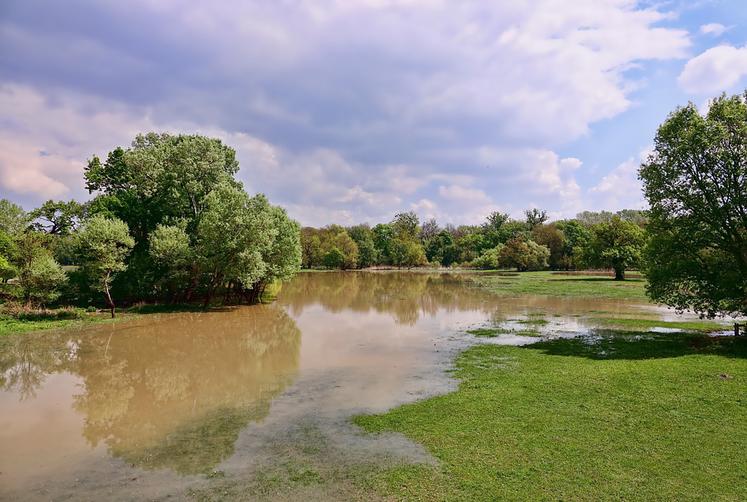 Les rapporteurs de la mission conjointe de contrôle relative aux inondations recommandent, entre autres, de clarifier  le «maquis réglementaire» qui encadre l’entretien des cours d’eau. 