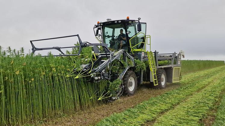 L’un des nouveaux débouchés est le chanvre textile, rendu possible grâce à cette nouvelle faucheuse Hyler. 