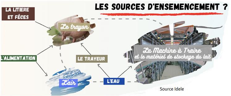 Voici quelques recommandations pour diagnostiquer et contrôler les germes de traite dans votre installation.