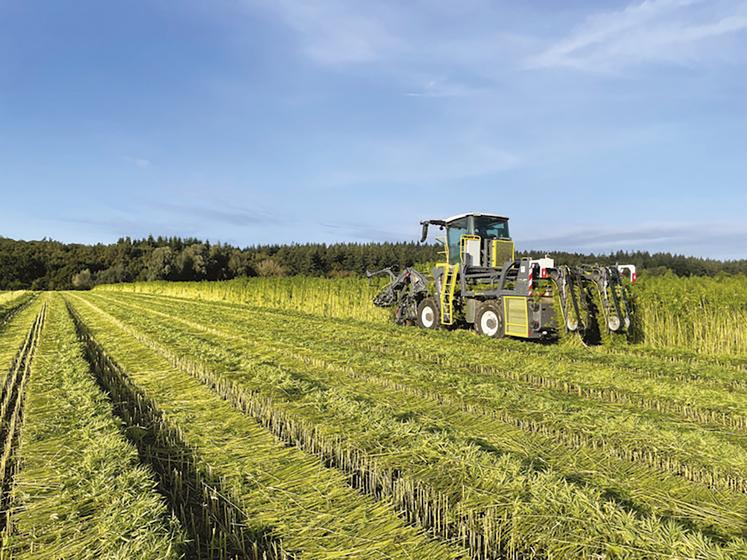 La France compterait aujourd’hui entre 2 400 et 2 600 hectares de chanvre textile contre 4 hectares en 2019. 