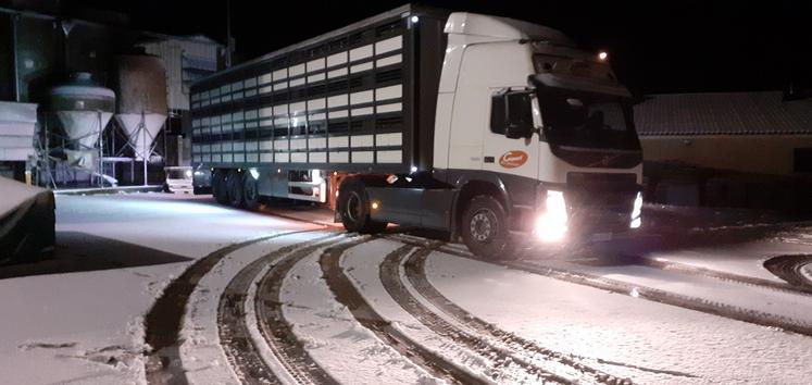 L’adoption de la proposition de règlement européen sur «la protection des animaux pendant le transport et autres opérations annexes» représenterait un surcoût très important pour les filières porcines française et européenne.
