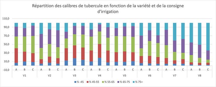 Graphique 3 : répartition des calibres en fonction des variétés et de la modalité d’irrigation.