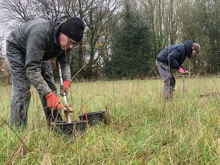 Dans un carré de 20 m2, des prélèvements sont réalisés tous les deux mètres. 