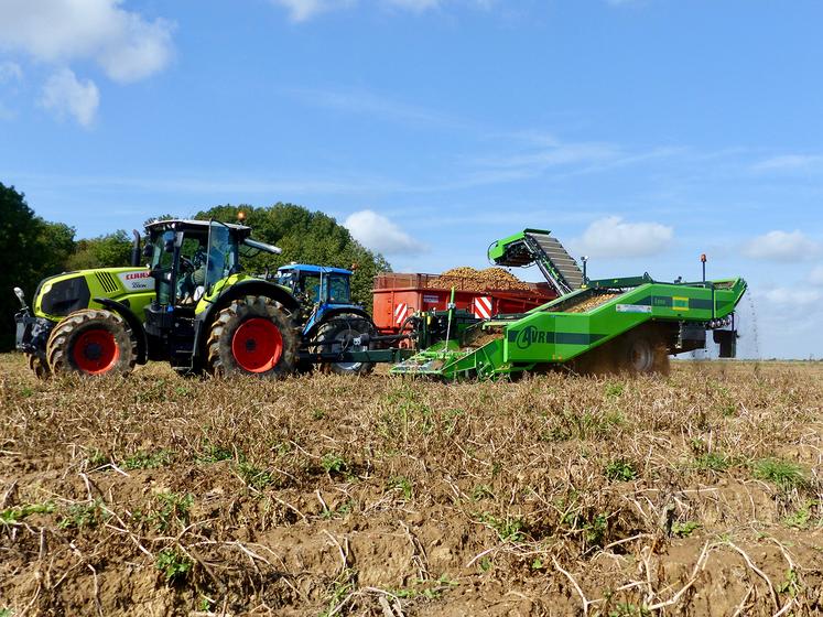 Avec 51 à 52 t/ha à 17° de rendement moyen estimé, payées 104 €/t, les producteurs de pommes de terre fécule voient enfin le bout du tunnel. 