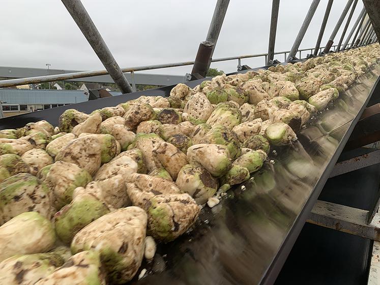 La CGB réalise au moins une visite par semaine dans chaque sucrerie, pour contrôler la réception des betteraves. 