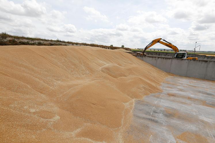 «Si on veut exister, il faut cracher des quintaux, pour écraser les charges»,  assure Jean Deray, responsable du service «céréales» du Groupe Carré.
