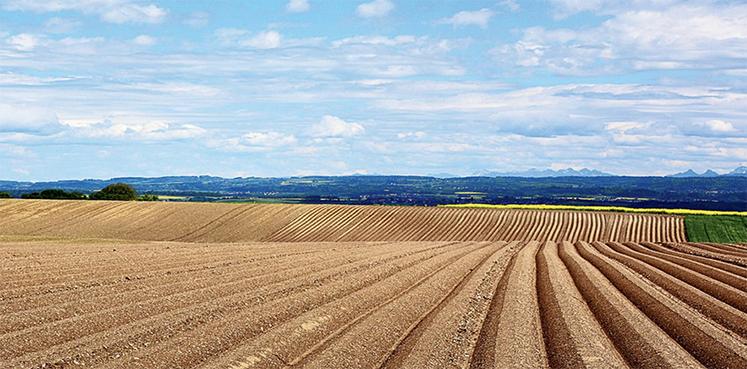 L’inscription des terres au bilan d’exploitation peut-être un atout fiscal,  à ne pas négliger.