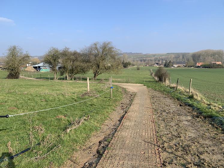 La stabilisation du sol lui permet un accès à l’herbe du début du printemps à la fin de l’automne,  même les jours de pluie. 