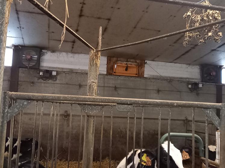 Le système d'extraction dans la nurserie.