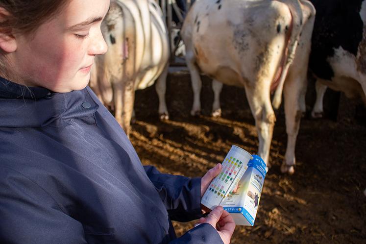La mesure du pH urinaire confirme la mise en œuvre de la stratégie d’acidification de la ration en préparation au vêlage. 