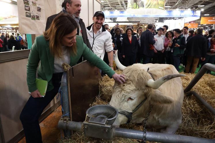Marine Tondelier écologistes EELV 