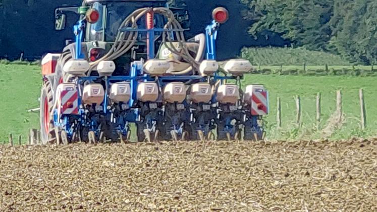 Semer trop tôt peut exposer les jeunes plantules à des stress climatiques et limiter le potentiel de rendement.