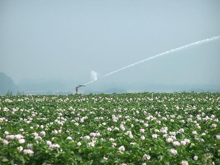 La Somme est le seul département des Hauts-de-France à opter pour le principe de gestion volumétrique de l'eau.