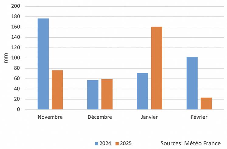 Répartition de ces précipitations entre 2024 et 2025 au poste d’Abbeville.