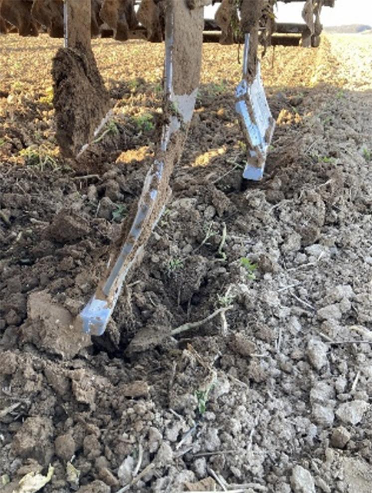 Exemple de dents de décompacteur.