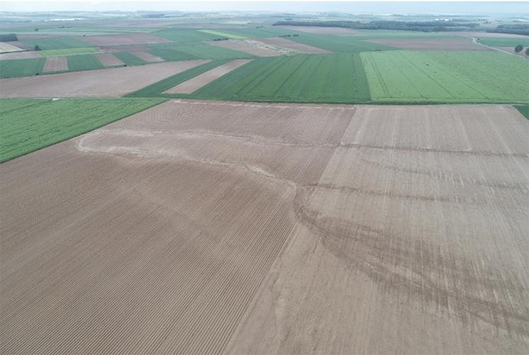 Exemple de pertes par érosion des sols. 