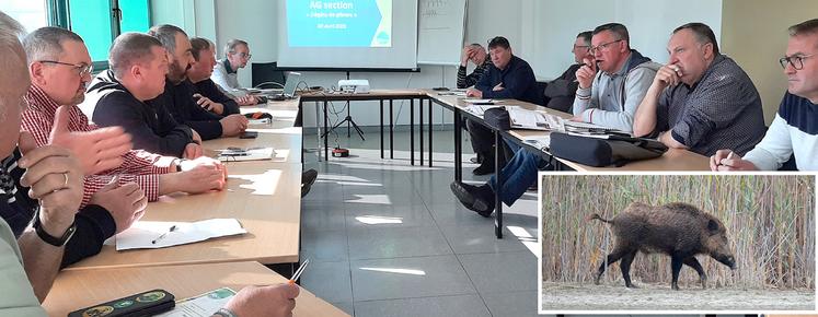Les représentants des chasseurs ont présenté à ceux du monde agricole les moyens déployés par la fédération départementale des chasseurs pour contenir le développement de l’espèce «sanglier».