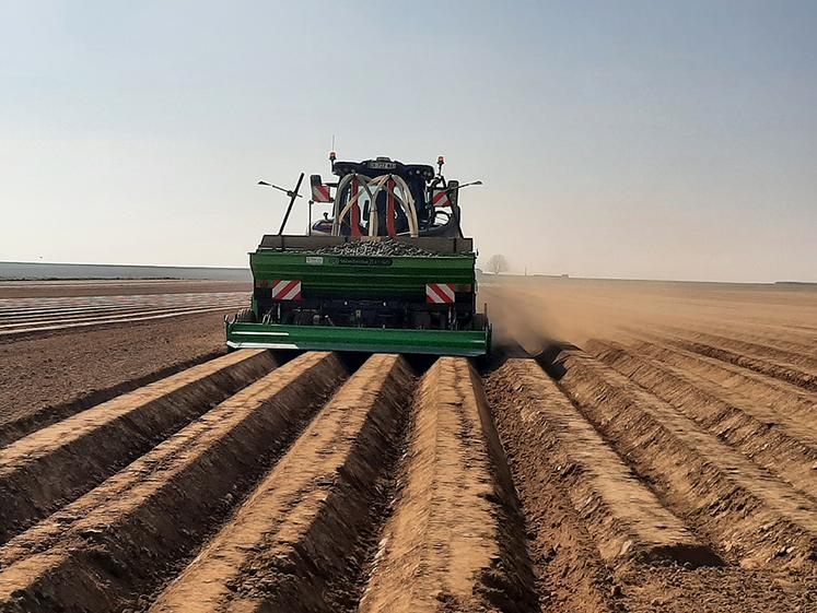 Cette année, le vent de Nord-Est permet un séchage fort mais principalement  en surface. 