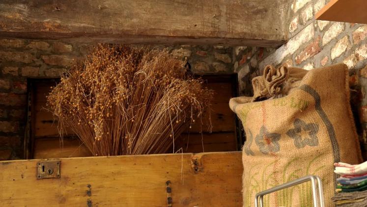 lin reportage documentaire France TV