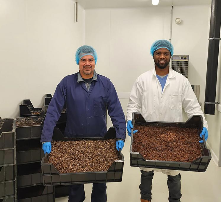Issa Mourifie, entrepreneur, et Miguel Leis, chercheur en entomologie sont associés  dans la création d’Everfly avec la volonté de proposer une alternative durable  aux protéines conventionnelles, en utilisant le potentiel de bioconversion  de la mouche soldat noire. 