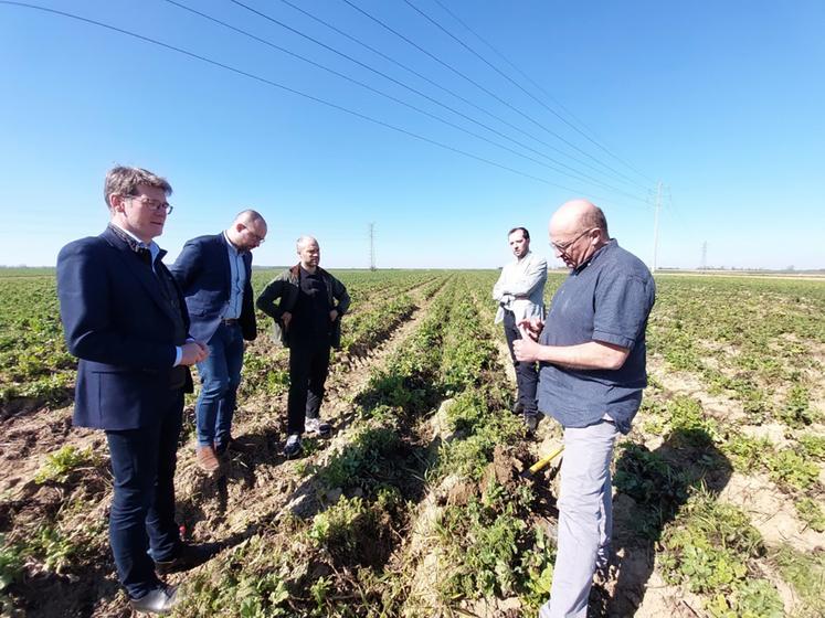 Pascal Canfin, député européen (à gauche), dans les champs de Jean-Paul Dallene  (à droite) avec des représentants de McCain et un collaborateur de l'élu (au centre). 