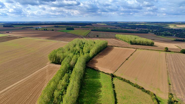Avec une SAU couvrant 76 % du territoire, pour environ 4 500 exploitations,  la politique ne pouvait pas ignorer l’agriculture.