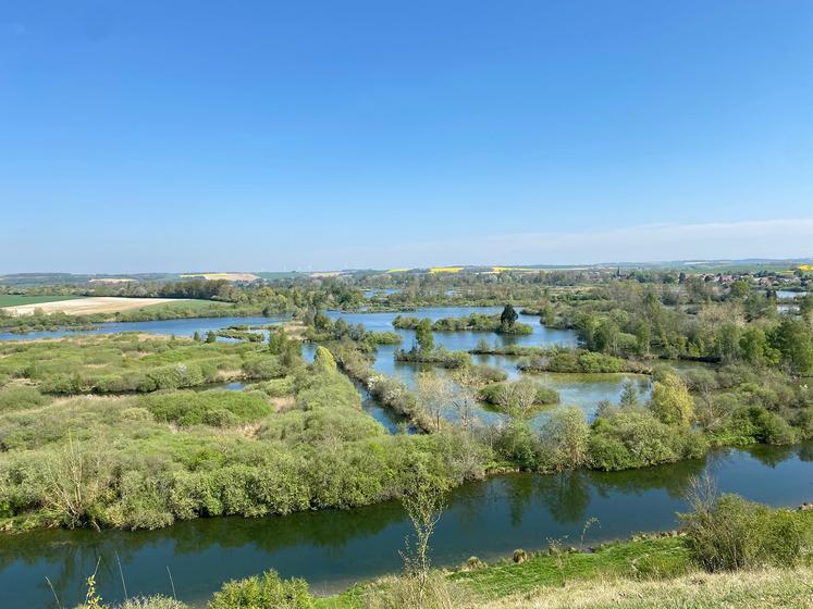 Cette année, le «Loto de la biodiversité» vise à récolter 10 M€ pour financer les dix-neuf projets annoncés,  dont, en Hauts-de-France, la renaturation du marais audomarois (62). 